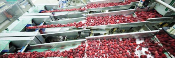 Food & Packaging Cleanroom