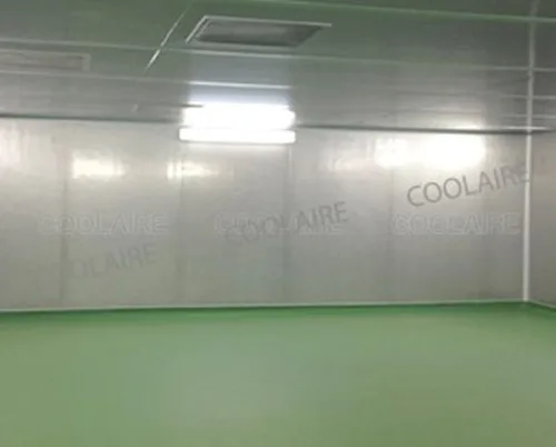 Food & Packaging Cleanroom